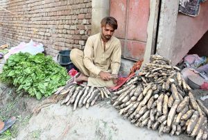 A vendor displays vegetables, including lotus roots "Beeh" and spinach, to attract customers at a local market.