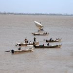 Fishermen catching the fish on their boats after rising water level in Indus river at kotri barrage, caused by ongoing heavy monsoon rains across the country
