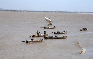 Fishermen catching the fish on their boats after rising water level in Indus river at kotri barrage, caused by ongoing heavy monsoon rains across the country
