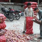 Young vendors sorting and packing good quality onions at Fruit and Vegetable Market in the Federal Capital