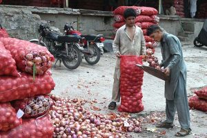 Young vendors sorting and packing good quality onions at Fruit and Vegetable Market in the Federal Capital