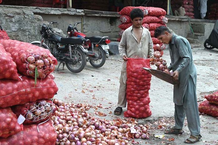 Young vendors sorting and packing good quality onions at Fruit and Vegetable Market in the Federal Capital