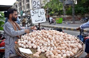 A street vendor arranges double-yolk eggs on his bicycle cart along Ferozepur Road to earn a livelihood and support his family.