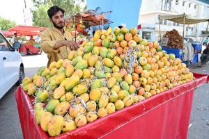 A vendor displaying Mango to attract the customers at Station Road.