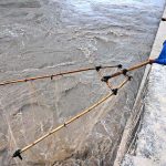 A fisherman catching fish with net at Dadu Canal