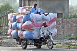 An overloaded motorcycle cart carrying heavy sacks of straw with a man sitting atop, a risky mode of transportation.