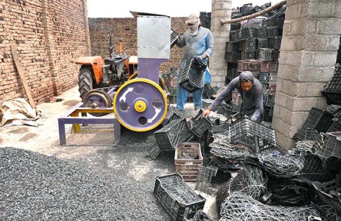 Labourers busy in crushing plastic fruit boxes for recycling process at Phandu area