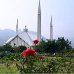 A beautiful view of Faisal Mosque with blooming roses in the foreground after rainfall in the federal capital