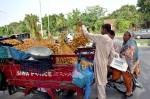 A street vendor selling bunches of fresh dates to the customer.