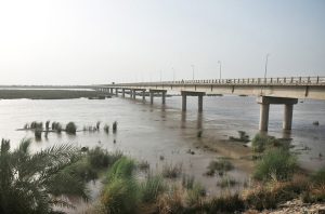 Rising water levels in the Chenab River flow near Head Muhammad Wala Bridge amid continuous monsoon rains.