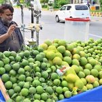 A vendor busy in extracting sweet lime and grapefruit juice at Stadium Road