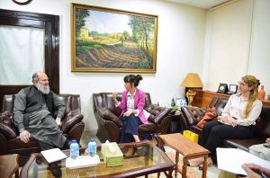 Federal Minister for Commerce Jam Kamal Khan meeting with Ambassador of Sweden to Pakistan H.E. Alexandra Berg von Linde in Islamabad to discuss trade, investment, climate cooperation, and future avenues of bilateral collaboration.