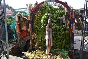 Workers unload fresh green bananas from a delivery truck at the fruits and vegetables market in the federal capital.