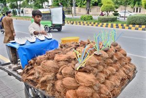 A vendor busy in extracting sweet lime and grapefruit juice at Stadium Road