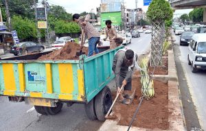 PHA workers preparing fresh soil with fertilizer for plantation along the road divider to enhance greenery and beautify the city.