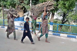 Village women carrying tree branches on their heads for domestic use while walking along Jamshoro Road