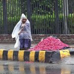 A vendor is selling fresh flower petals on the sidewalk with a plastic cover to protect himself from the rain and waiting for customers