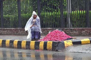 A vendor is selling fresh flower petals on the sidewalk with a plastic cover to protect himself from the rain and waiting for customers