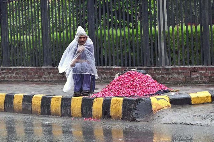 A vendor is selling fresh flower petals on the sidewalk with a plastic cover to protect himself from the rain and waiting for customers