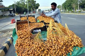 A street vendor displaying bunches of fresh dates on his cart to attract customers on roadside .