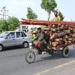 A man balancing him atop stacked logs and bamboo as a delivery man pedals his tricycle loader through the city streets.