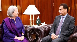 Ambassador of Ireland Ms. Mary O'Neill called on Speaker National Assembly Sardar Ayaz Sadiq at Parliament House in federal capital.