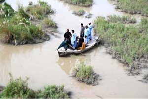 Flood-affected residents of Nizam Kalhoro village in the Kachha area of the Indus River shift their belongings to safer places after the district administration issued a flood warning