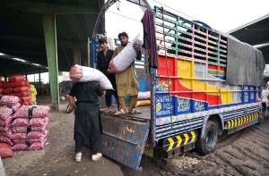 - Laborers busy in loading garlic sacks in a delivery truck at Vegetable Market.