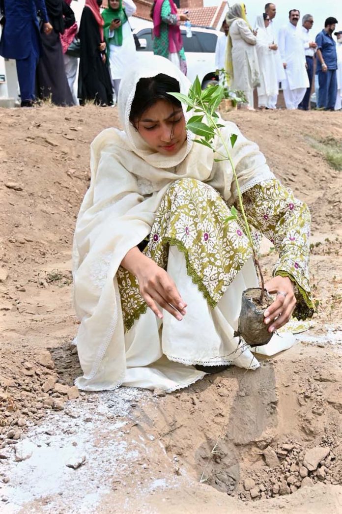 A woman plants sapling during Independence Day ceremony at Child Protection Bureau office