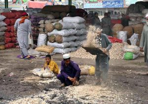 - Laborers busy in loading garlic sacks in a delivery truck at Vegetable Market.