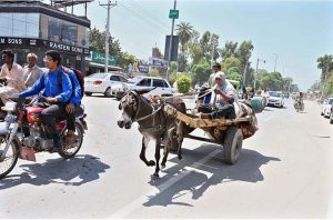 A nomad woman accompanied by her child drives a donkey cart along University Road