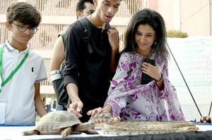 A women holding a Snake during Pets Show on the occasion of the Pakistan Independence Day & Marka-E-Haq Grand Celebrations at Arts Council of Pakistan