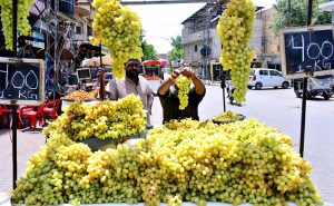 A vendor displaying fresh bunches of grapes on a handcart, selling at Rs. 400 per kg to attract customers.