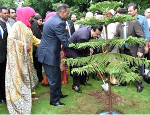 Chairman Senate, Syed Yousaf Raza Gilani planting a sapling at OIC-COMSTECH lawn after addressing the "Ethio-Pakistan green dialogue-lessons from Ethiopia green legacy.