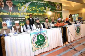 Governor Khyber Pakhtunkhwa Faisal Kareem Kundi addresses the National Stability Pakistan Conference at a local hotel.