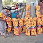 A fruit trader arranges apple bags to attract customers at Joint Road, Quetta