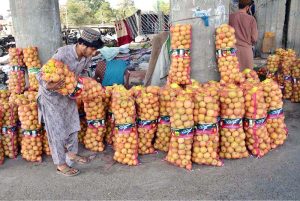 A fruit trader arranges apple bags to attract customers at Joint Road, Quetta