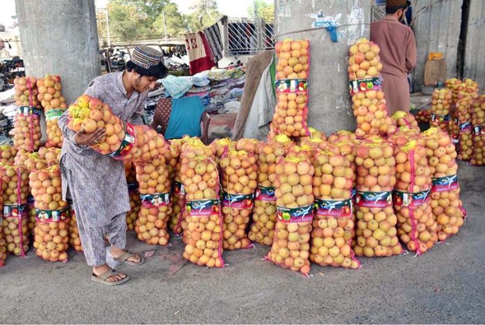 A fruit trader arranges apple bags to attract customers at Joint Road, Quetta