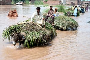 A family sitting outside their house submerged in flood water at Mandi Faizabad district Nankana