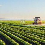 Cropped area in Balochistan Province increased to 3.6 mln acres