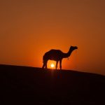 From sands of Arabia to hearts of billions: Prophet Muhammad (PBUH)’s peaceful path reshaped humanity