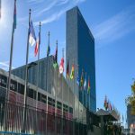 Momentum builds towards marine biodiversity treaty to protect world's oceans, Experts