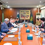 DPM Dar for actionable, targeted measures to restore financial sustainability of energy sector