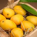 Sweet prospects: Elevating Pakistan’s mango exports