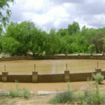Pakistan can harvest over 7 Trillion gallons of rainwater annually, say experts