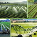 Uzbekistan leads Central Asia in water-saving drive, targets 15b cubic meters in annual savings by 2030