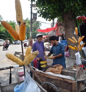 A vendor selling corn at G-9 Markaz in Federal Capital.