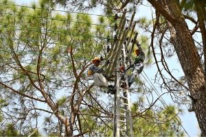 IESCO workers are busy installing new electric wires on poles along the Islamabad Expressway near Zero Point
