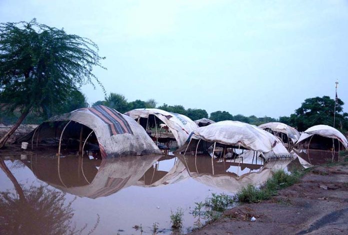 Makeshift shanties of gypsy families inundated in floodwaters at Bhuwana Tehsil near the Chenab River, leaving vulnerable communities in distress