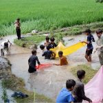 Children attempt to catch fish using pices of colthes in floodwaters at Bhuwana Tehsil near the Chenab River, after flash floods swept through and damaged nearby fish farms